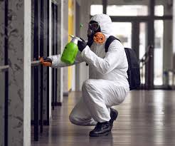 Why You Should Choose Our Mold Remediation Services in Macungie, PA